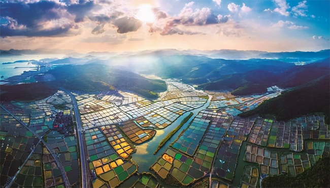 qq截图20230713091843.png