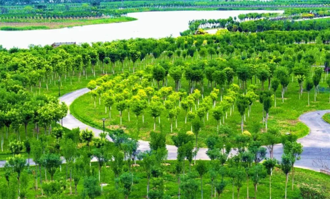 qq截图20230803103811.png