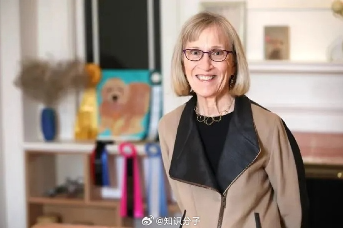 qq截图20231019103609.png