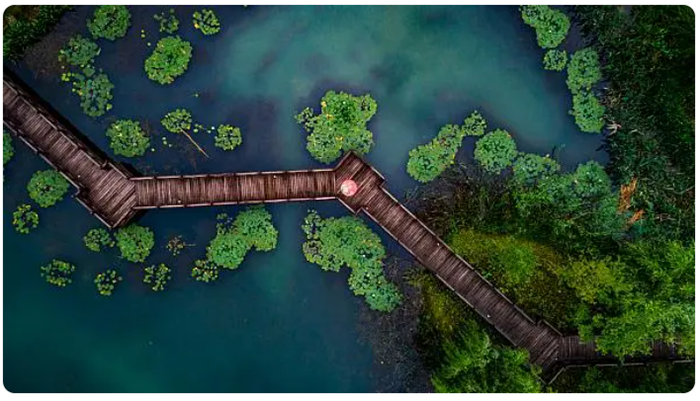 qq截图20231023094548.png