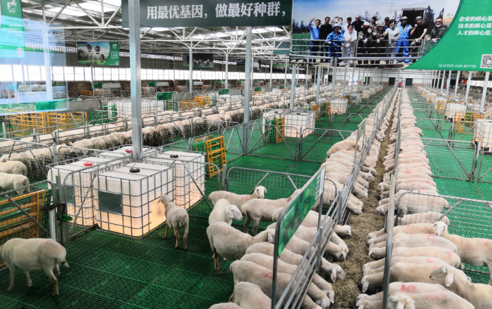 qq截图20240527102126.png