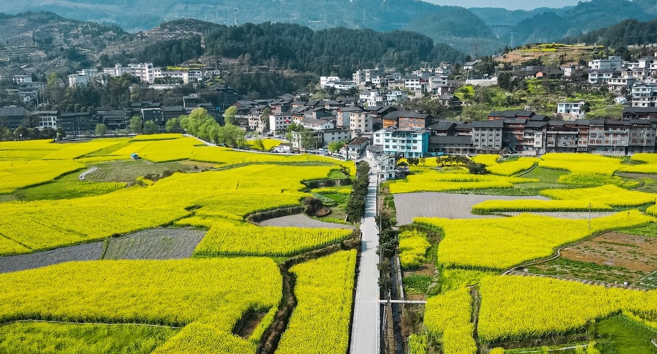 微信截图_20241219105748.jpg