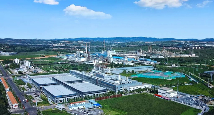 兰花集团化工厂.jpg