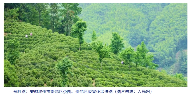 微信截图_20250401100655.jpg